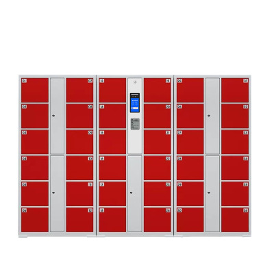 戴劲 电子存包柜商场超市智能物品寄存柜员工衣物储存柜 36门人脸识别