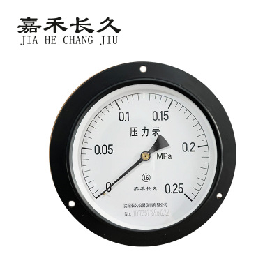 嘉禾长久 轴向带边压力表检测型 Y150ZT 块