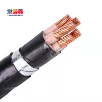 常顺鑫 电缆YJV22 3×25+2×16 米