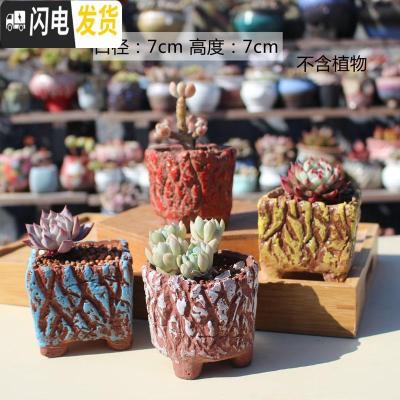 三维工匠麦饭石花盆粗陶透气老桩盆大口径拼盘吸水花盆手工复古冒汗盆 麦饭石随机2个 大花盆容器