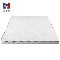 麦都乐 椰棕床垫 1200*2000*50mm/张