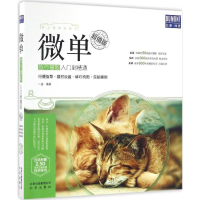 音像微单旅行摄影入门到精通一白 编著