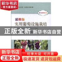 正版 彩图版实用葡萄设施栽培 晁无疾,单涛,张燕娟 著 中国农业