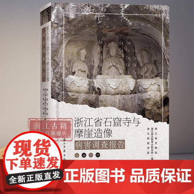[正版]浙江省石窟寺与摩崖造像病害调查报告 介绍浙江省共87处石窟寺和摩崖造像目前存在问题 为保护遗产文物提供方向图书籍