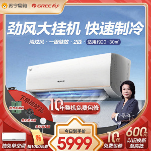 [格力官方旗舰店]清炫风2匹新一级能效变频大挂机空调 KFR-50GW/NhKf1BAt 冷暖家用 一级能效