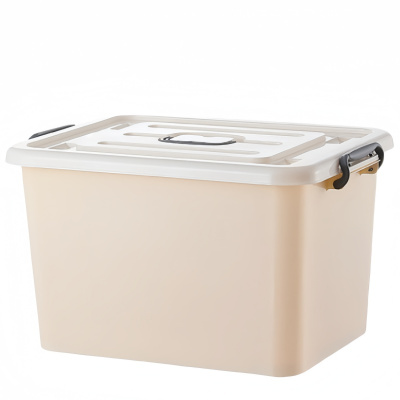 攸形收纳箱53.5*38.5*32.5cm个