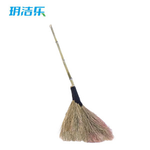 玥洁乐 扫帚 s1 把