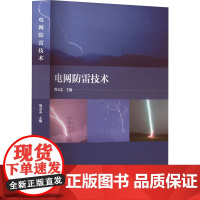 电网防雷技术 樊灵孟 编 建筑/水利(新)专业科技 正版图书籍 中国电力出版社