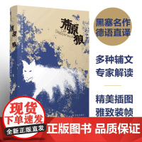 荒原狼(黑塞精选集)豆瓣高分译本,名家德语直译,收录黑塞亲笔画赫尔曼·黑塞 著 王滨滨 译 译林出版社 正版书籍