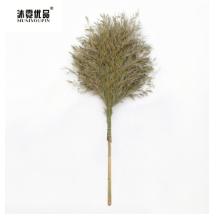 沐霓优品 大扫把 3.2公斤 把