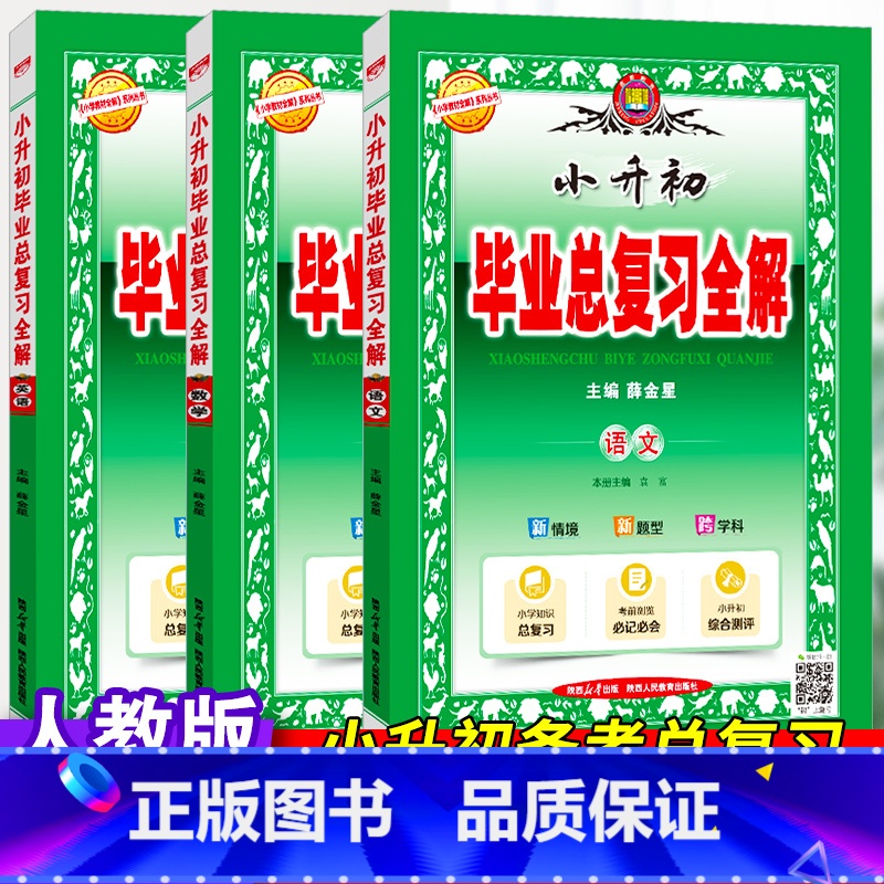 小升初毕业总复习全解·语文+数学+英语-3本套 小学升初中 [正版]2025薛金星小升初毕业总复习全解语文数学英语全套必