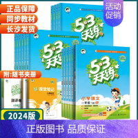 语文+数学人教版套装2本 六年级下 [正版]湖南2024秋季53天天练一二年级三年级四五六年级下册语文数学英语人教苏教外