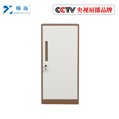 臻远钢制带锁铁皮柜资料柜储物柜 单门咖色