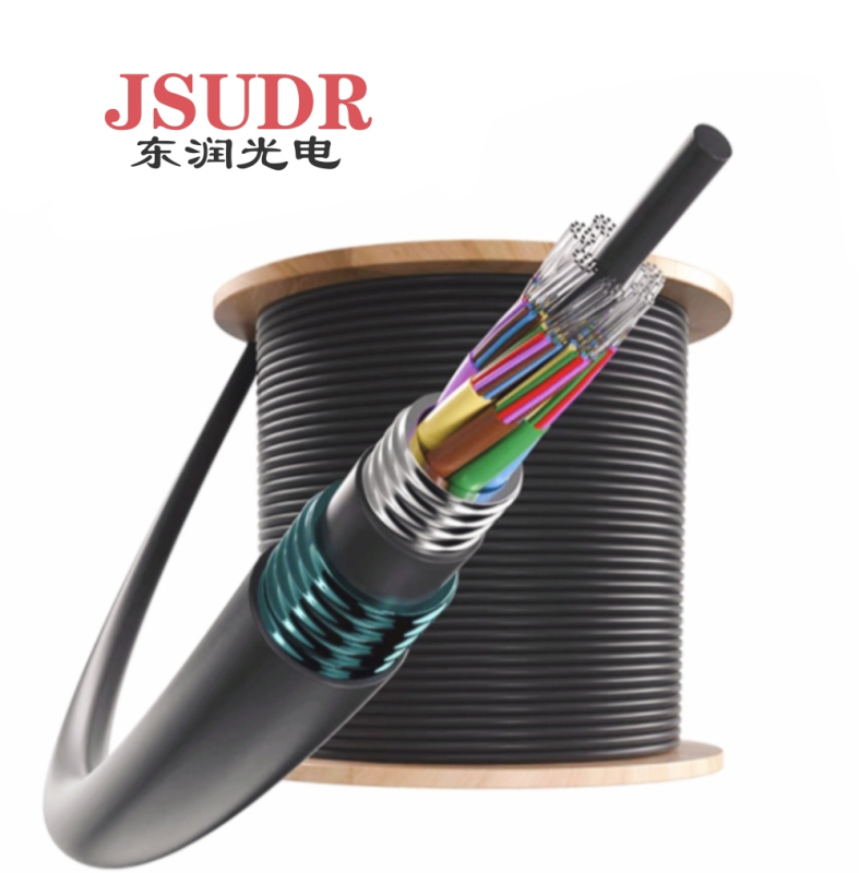 JSUDR东润24芯复合光缆GYTA53 12芯G.654E+12芯G.652D +米