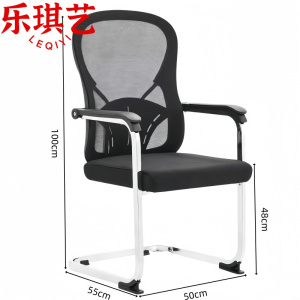 乐琪艺