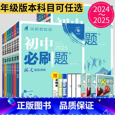 语文 八年级下 [正版]2025初中必刷题七年级八年级九年级下册上册数学英语物理化学生物历史道德与法治地理苏科版苏教版小