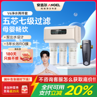 安吉尔净水器家用直饮V6净饮机 1.46升/分钟净水机J2605-ROB60(A8)+J3217前置过滤器