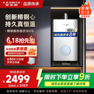AO史密斯佳尼特16升燃气热水器佳尼特 小体积 不锈钢换热器8年包换 恒温大水量 抗风防冻 JSQ31-TCA1