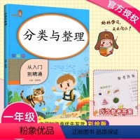 [正版]分类与整理 从入门到精通彩绘版小学生数学同步训练练习册1年级数学辅导练习册数学课时作业思维强化训练分类整理口算