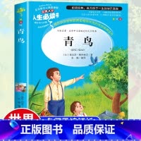 [正版]青鸟书 世界名著小学生课外阅读书籍三四年级必读经典书目名师指导五六年级语文读物青少年儿童文学读物故事书6-12
