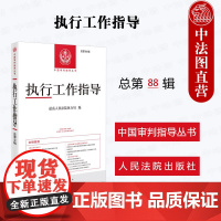 中法图正版 2025新 执行工作指导 总第88辑 中国审判指导丛书 人民法院 最高人民法院执行局法官会议纪要地方法院案例