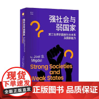 强社会与弱国家 第三世界的国家社会关系及国家能力 乔尔•S.米格代尔 著 政治