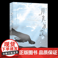 正版月光沉没初禾浪漫悬疑代表作拯救我的少年是雪山尖儿上皎洁的月光初禾9787517147688中国言实出版社