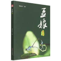 正版新书]豆娘新章清荷铃子9787541130335