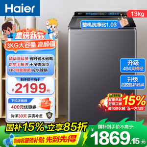 海尔(Haier) 13公斤 变频 全自动 波轮洗衣机 精华洗 除菌螨 玻璃盖 仿手搓 XQB130-BSE37B