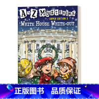 白宫乳白的天空 [正版]英文原版 The New Year Dragon Dilemma 新年龙的困境 神秘案件特别版5