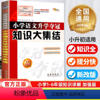 [正版]2024新版小升初知识大集结小学语文升学夺冠基础重点知识大全通用版 68所名校毕业升学系统总复习资料三四五六年