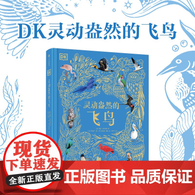 DK灵动盎然的飞鸟 4-12岁 本·霍尔著 鸟类的进化 鸟类的六大特征 科普百科