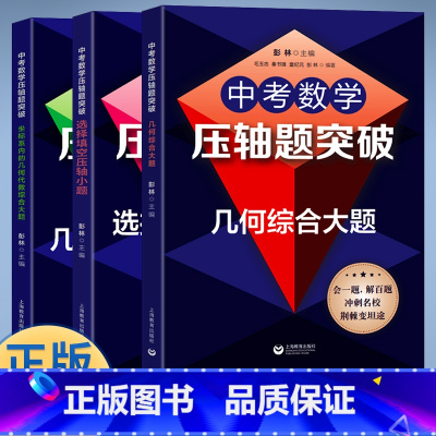 (全3册)中考数学压轴题突破 初中通用 [正版] 中考数学压轴题突破几何综合大题/选择填空压轴小题/坐标系内的几