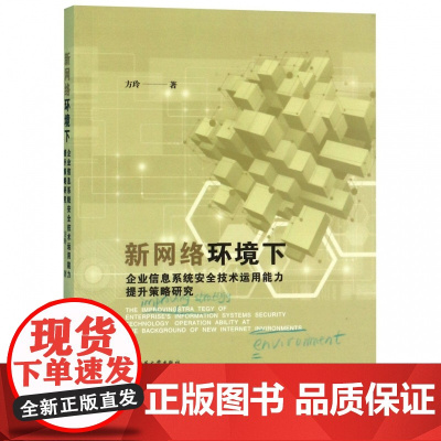新网络环境下企业信息系统安全技术运用能力提升策略研究