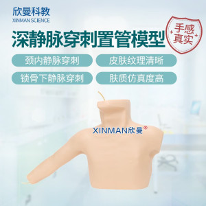 欣曼科教 外周穿刺中心静脉穿刺插管模型 深静脉穿刺置管模型XM-LZC03