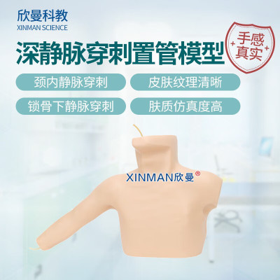 欣曼科教 外周穿刺中心静脉穿刺插管模型 深静脉穿刺置管模型XM-LZC03