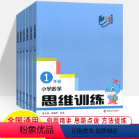 数学思维训练 小学六年级 [正版]2024小学数学思维训练全国通用小学生一1二2三3四4五5六6年级全一册奥数应用题强化