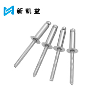 新凯益 不锈钢沉头抽芯铆钉 φ5*12 个
