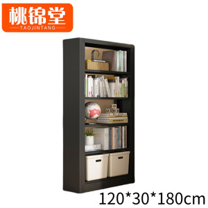 桃锦堂 图书柜1.2米 个