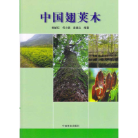 醉染图书中国翅荚木9787503856877