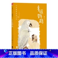 第1级:幸运鹦鹉 [正版]大作家写给孩子们任选 7-10岁儿童文学课外分级阅读参考书目 小红马普希金堂吉诃德历险记川端康