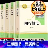 [人教版]七上选读全4册 [正版]朝花夕拾鲁迅原著+西游记无删减版七年级上册必读课外书人民教育出版社阅读白洋淀纪事湘行散