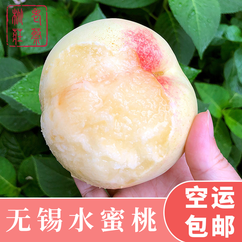 [空运发货]正宗江苏无锡阳山镇水蜜桃 单果 6-6.5两 16只 可撕皮滴水软桃 新鲜水果 桃子孕妇儿童可食用