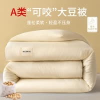 大豆纤维被a类大豆被子冬季厚款双人被芯宿舍单人冬被酒店秋冬被