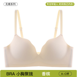 无痕内衣女小胸聚拢显大上托立体防下垂调整型无钢圈收副乳文胸罩