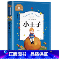 [彩图注音版]小王子 [正版]小王子书注音版中文版儿童绘本原版拼音版书籍小学生读物一年级二年级课外阅读带拼音的必读童书6