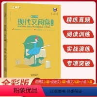 [正版] 一飞冲天 现代文阅读九年级+中考全彩版 说明文议论文散文小说篇 中考语文 九年级中考现代文阅读教辅参考用书
