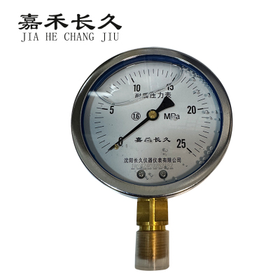 嘉禾长久/耐震压力表/YTN100/个