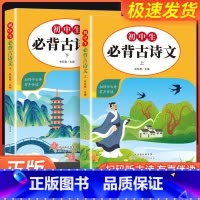 初中生必背古诗文 初中通用 [正版]孟建平浙江考题七年级八九年级上册下册语文数学英语科学历史人教版浙教版历年真题模拟汇编