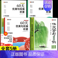 [全4册]作文金句+优美句段积累 小学通用 [正版]时光学作文金句800例小学生中学生作文素材句子积累优美段落好词好句好